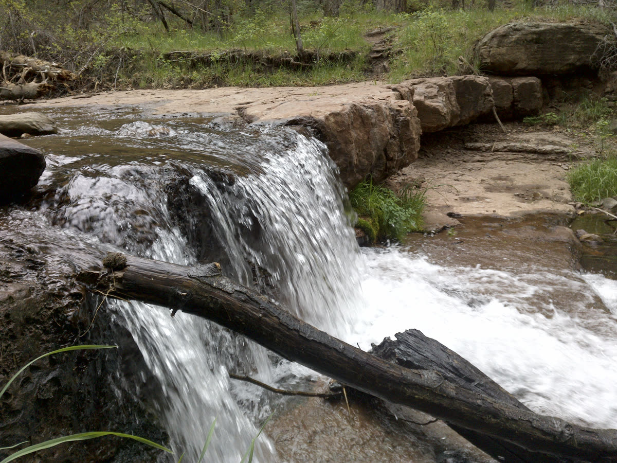A wide, foaming little waterfall pouring over a rock shelf and fallen log on Horton Creek.