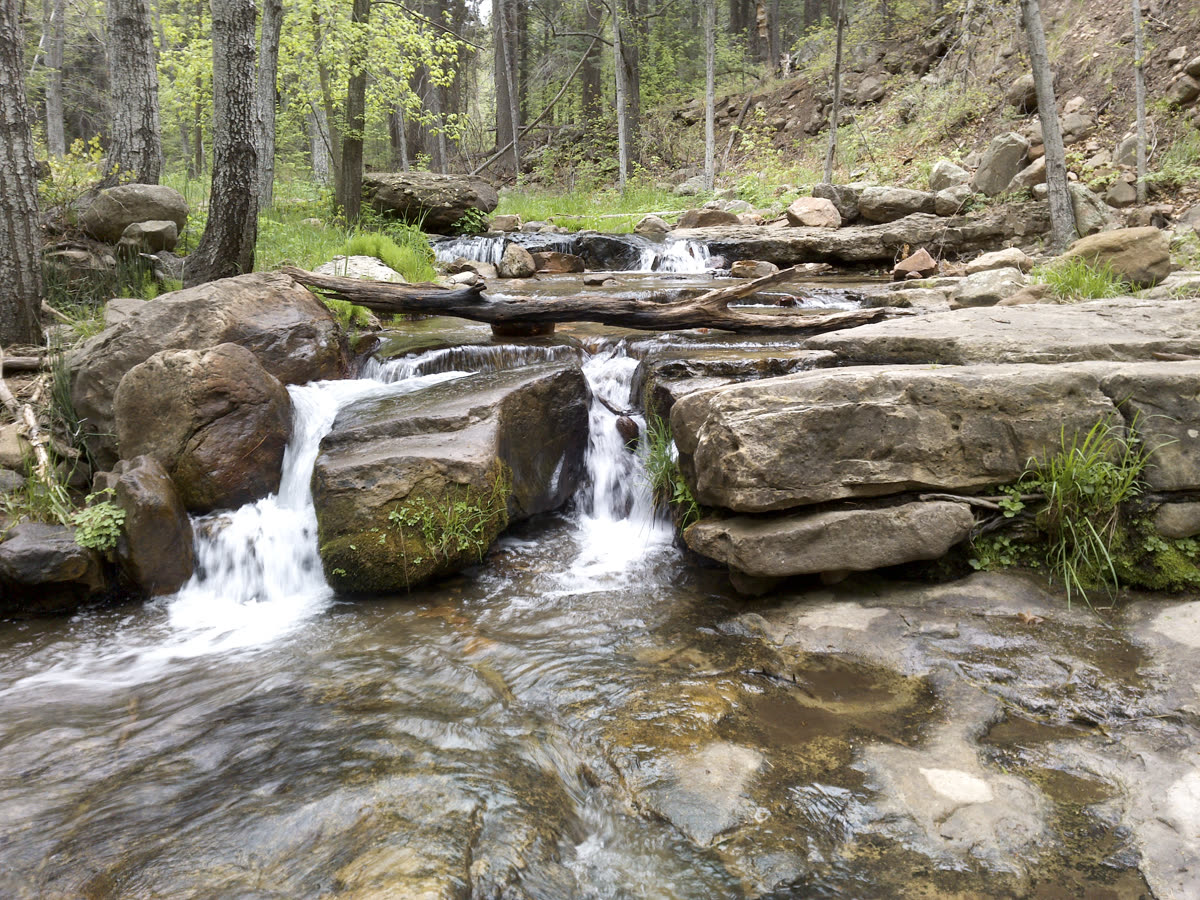 Clear cascades stepping down over rock ledges into shallow pools, framed by green spring forest along Horton Creek.